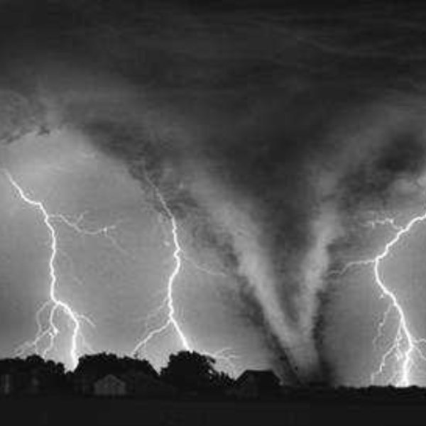 Trble Sensation