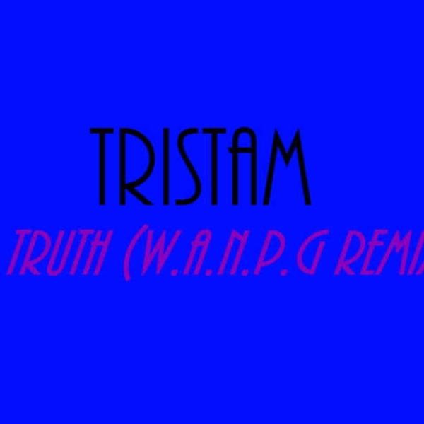 Tristam - Truth (W.A.N.P.G Remix)