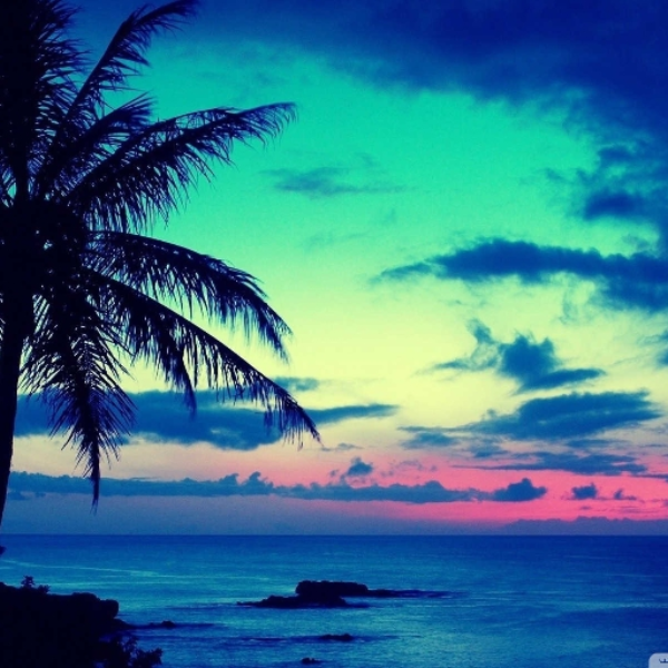 TROPICAL ADVANTAGE