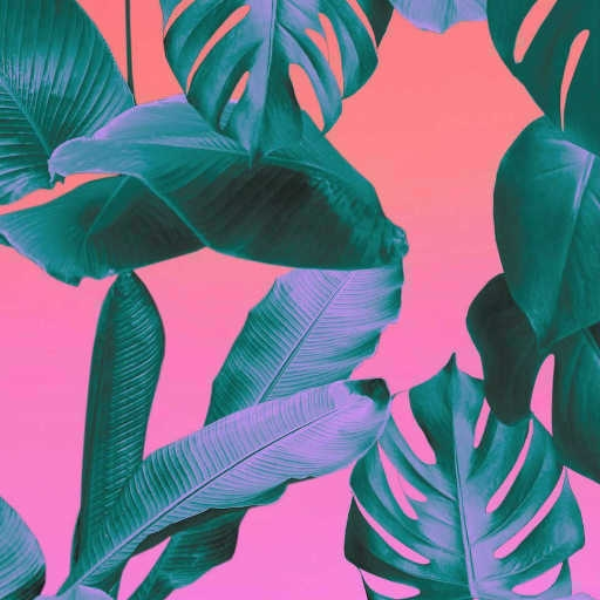 Tropical II