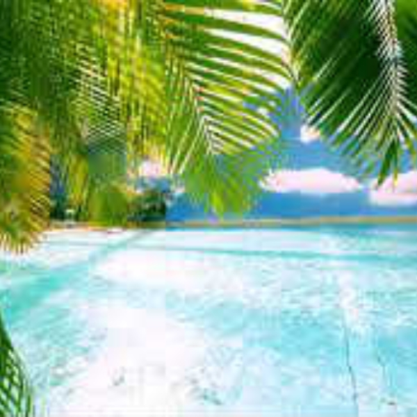 Tropical Trap