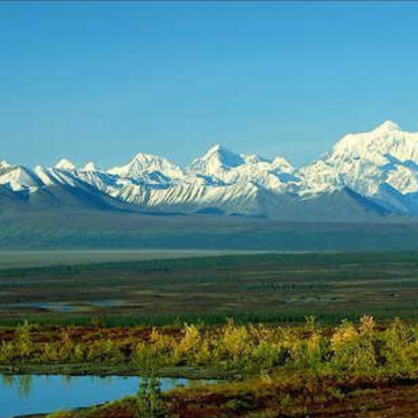 tundra