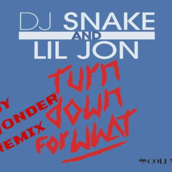 Turn Down For What (Boy Wonder Remix)