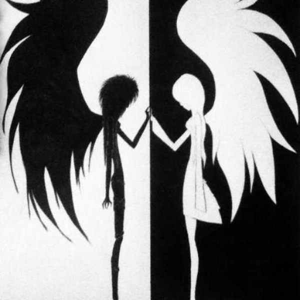 Two Halves of a Whole