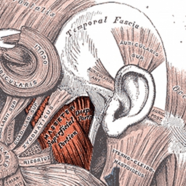 temporomandibular joint dysfunction