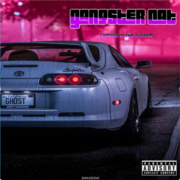 change in the system/gangster cat