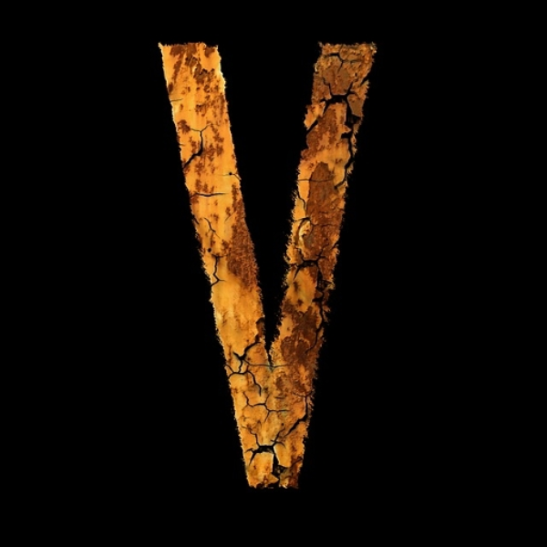youngblood vlone