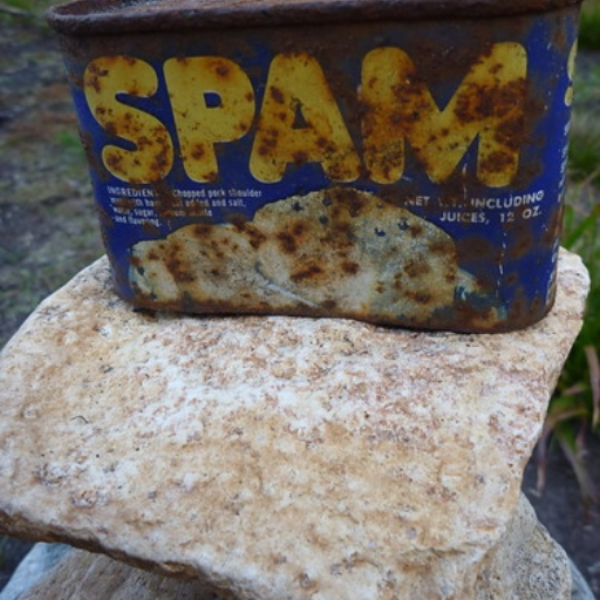 Spam Fritter