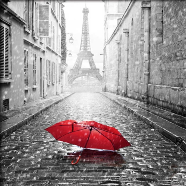 Umbrella in Paris