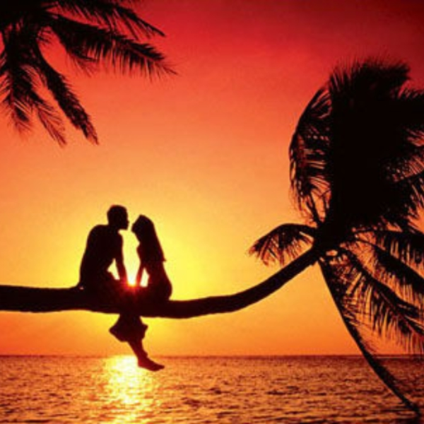 unfinished summer dream !!!