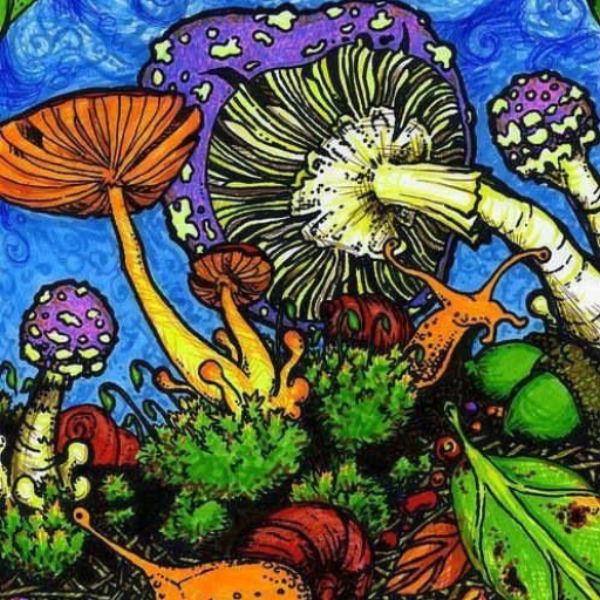 Universe Psico