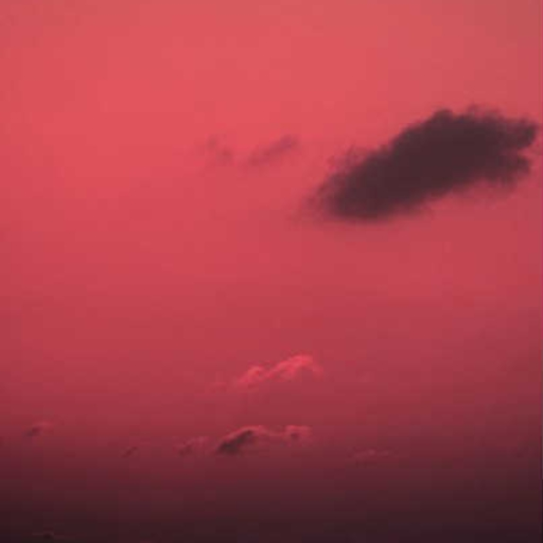 Untitled2