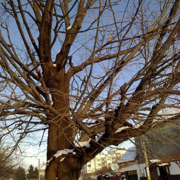 Untitled 08 03 2013