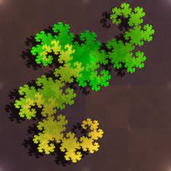 The Fractal.
