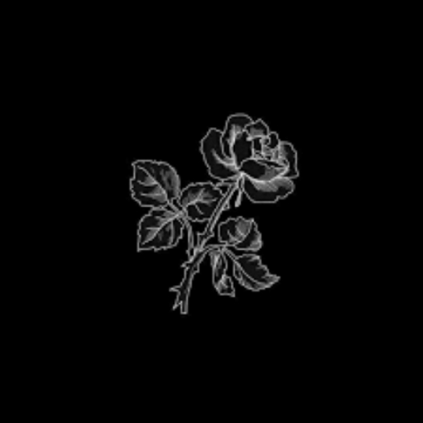 lil tracy "wasteland" [prod. tyae]