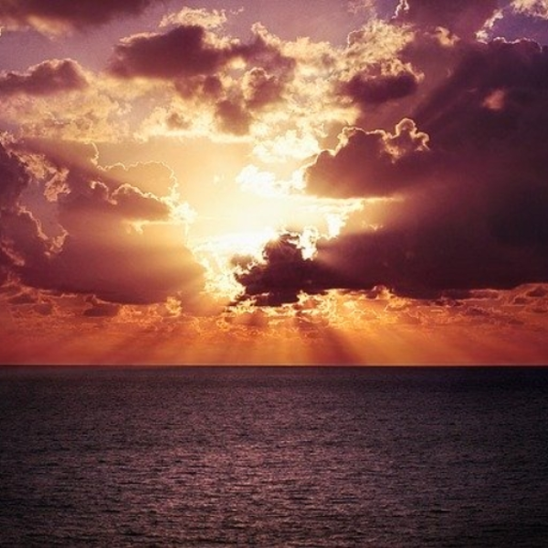 sunlight