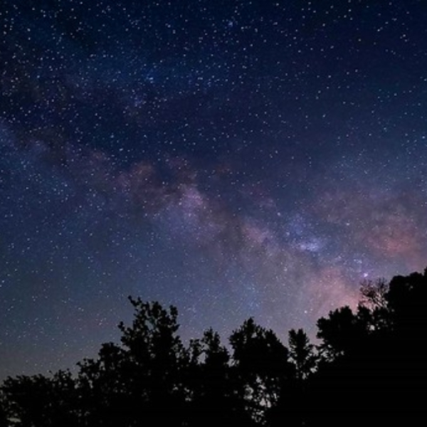 stars