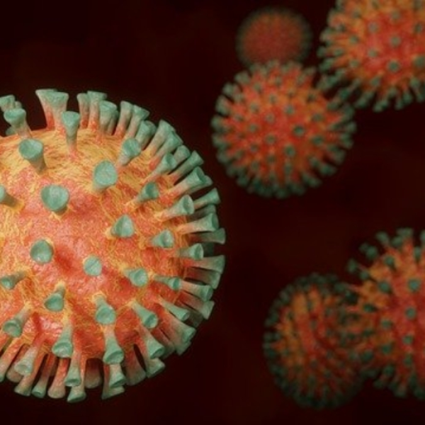 Elektro Virus (HOME OFFICE)