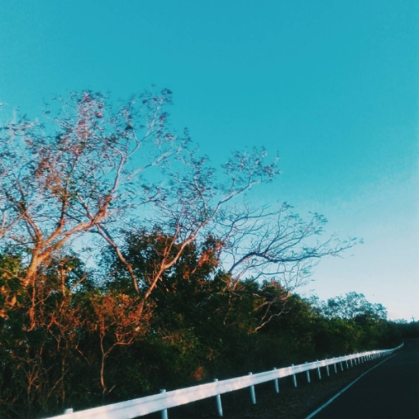 solace