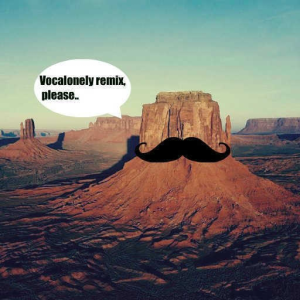 VC music (LSD Vocalonely Remix)