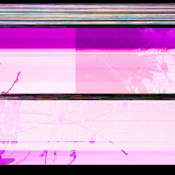 800