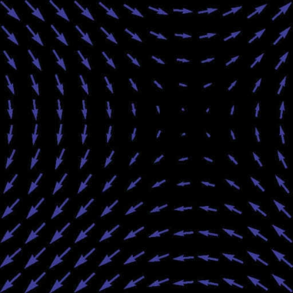 Vector