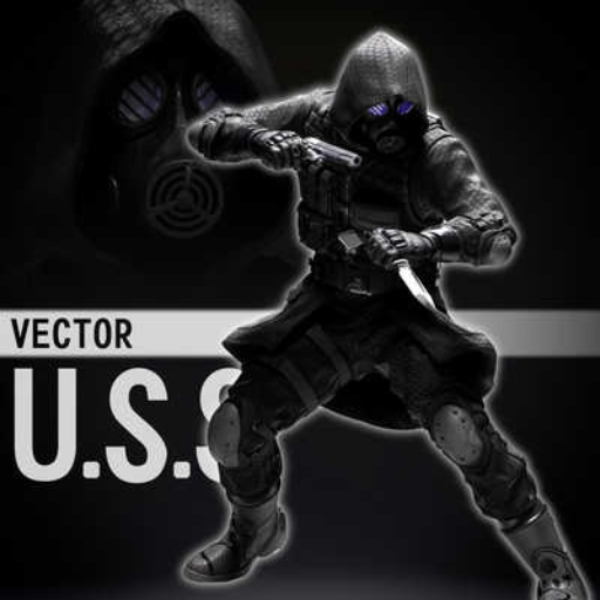 Vector