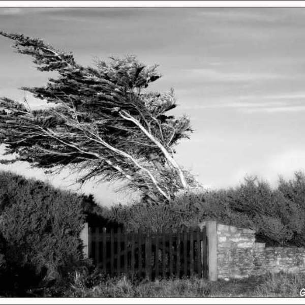 vent d'automne