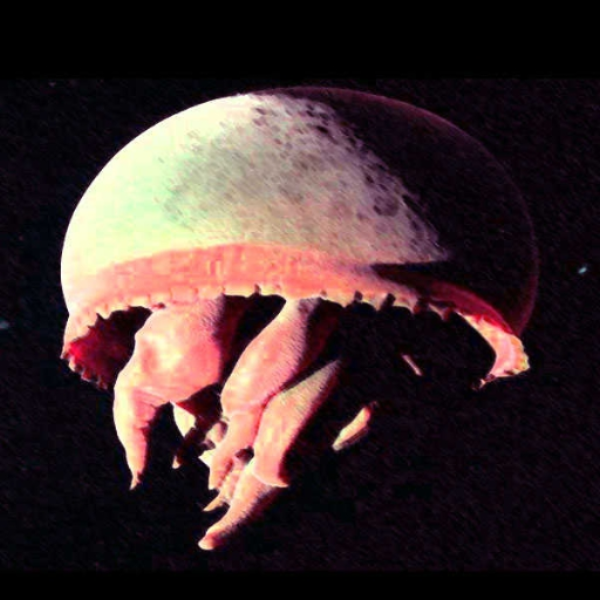 Very Deep Sea