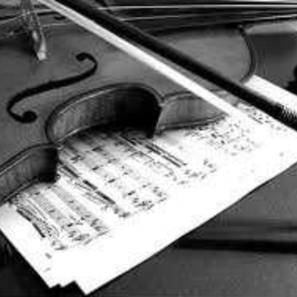 soft violin