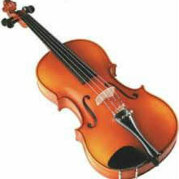Violin Dubstep