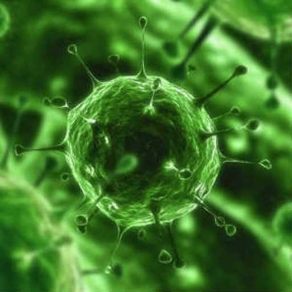 Virus (Netwerq Remix)