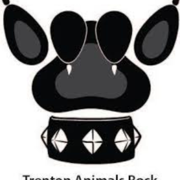 animals rock