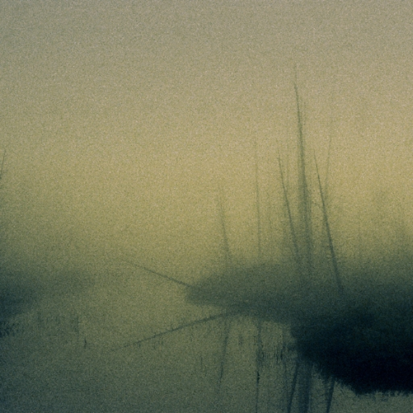 Sepia (pt. 2)