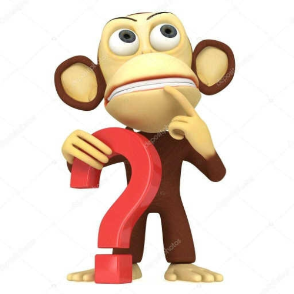 ???????????????????