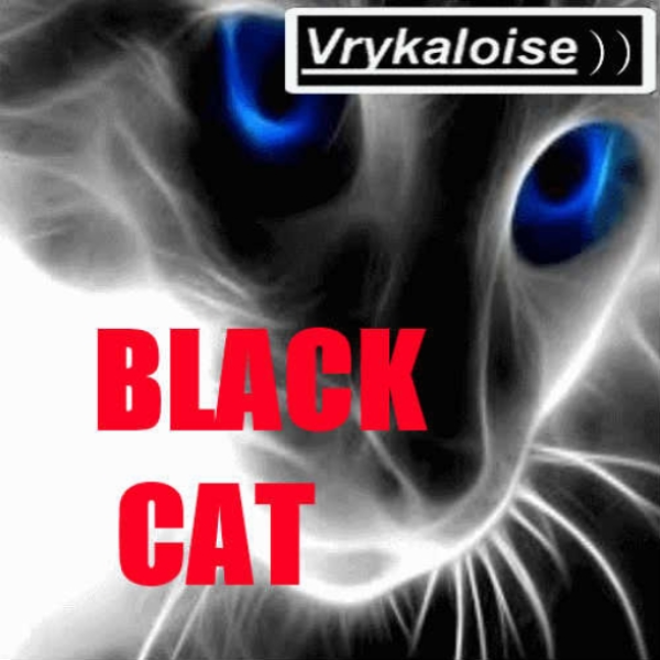 Vrykaloise - Black Cat