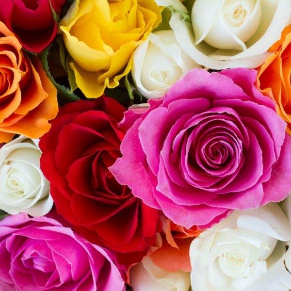 Flowers (Original Version)