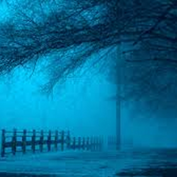 Something Cold and Dark
