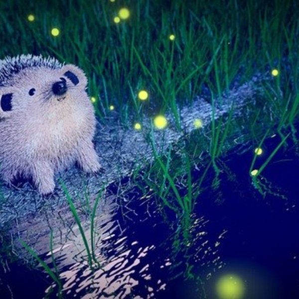Owl City - Fireflies (JD3 Cover)