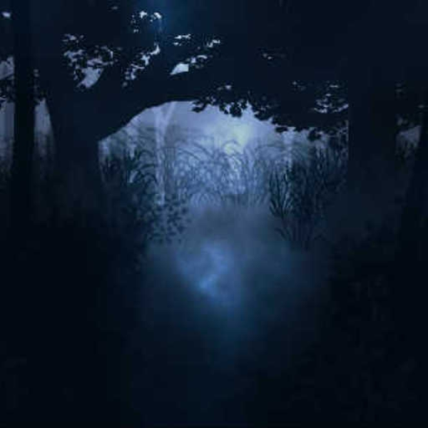 Walking Through The Night