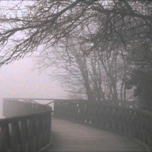 Wandering