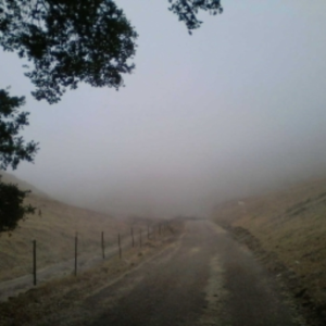 Wandering In Mist