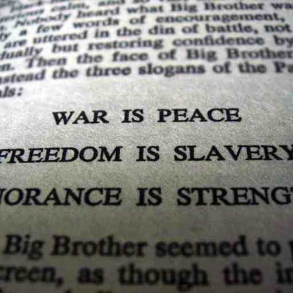 WAR/WTF V3