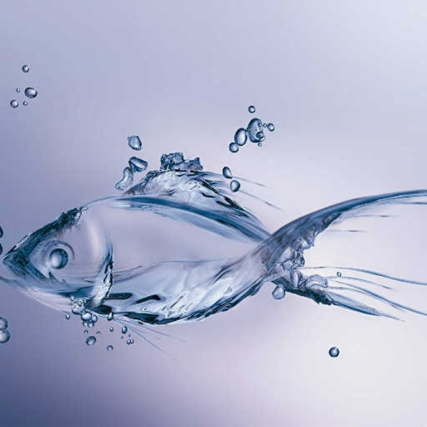 Water short