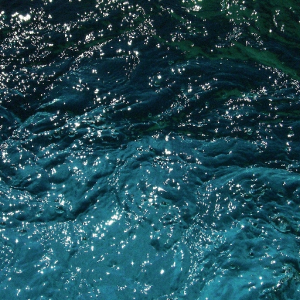 water whippin