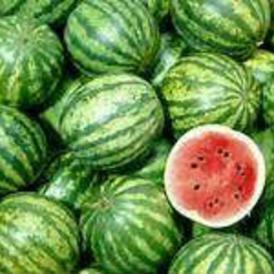 watermelon.