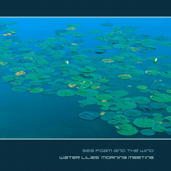 water lilies' morning meeting