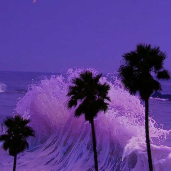 WAVE$