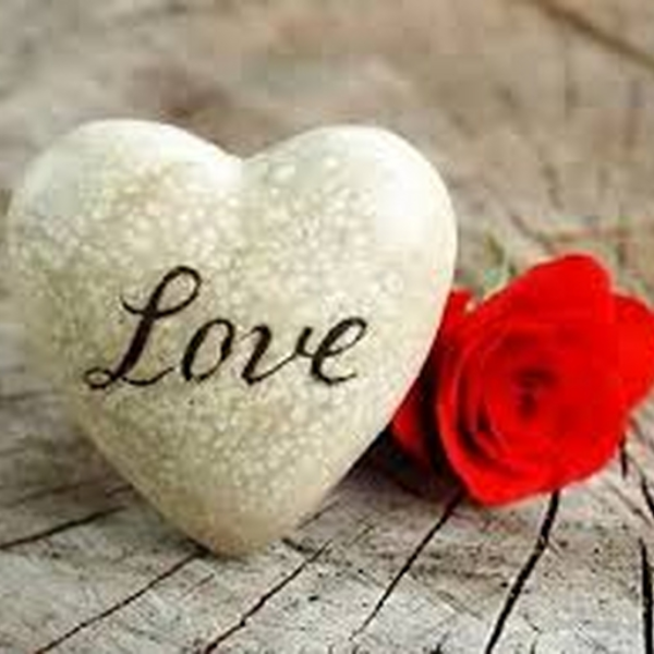 love
