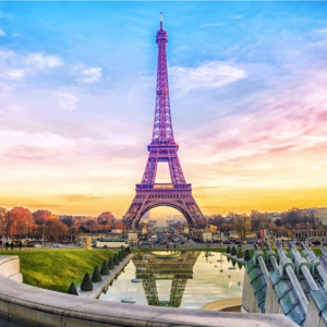 niqqas in paris